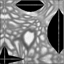 My github profile photo: a warped image of optic nerve tissue